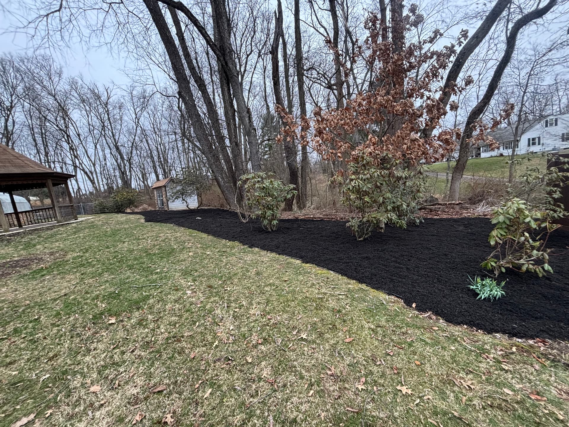 Fresh Black Mulch Install That Makes the Whole Yard Pop