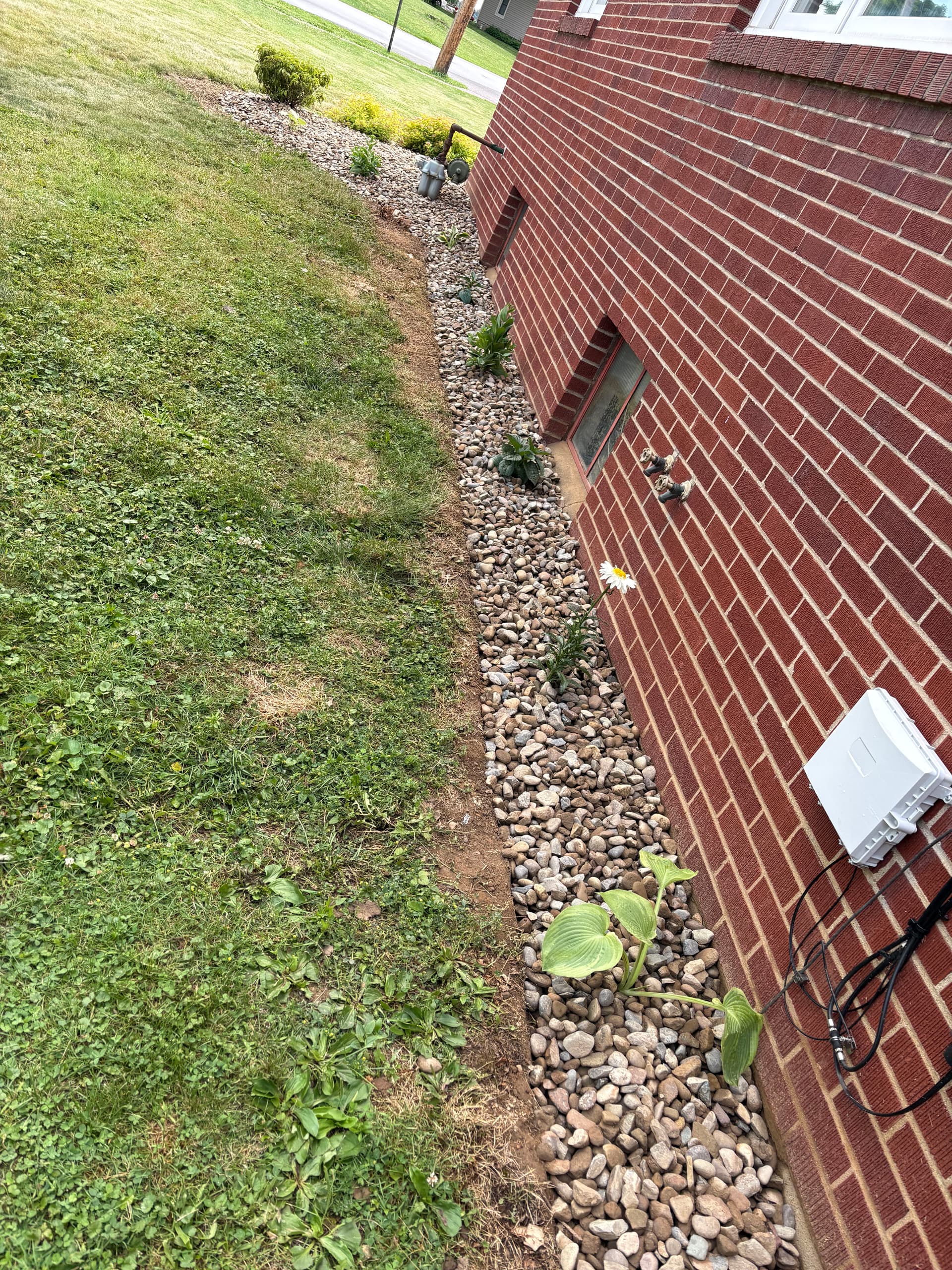Gallery photos for Overgrown Flower Bed Torn Out and Rebuilt With Rock and New Plants: Image #3