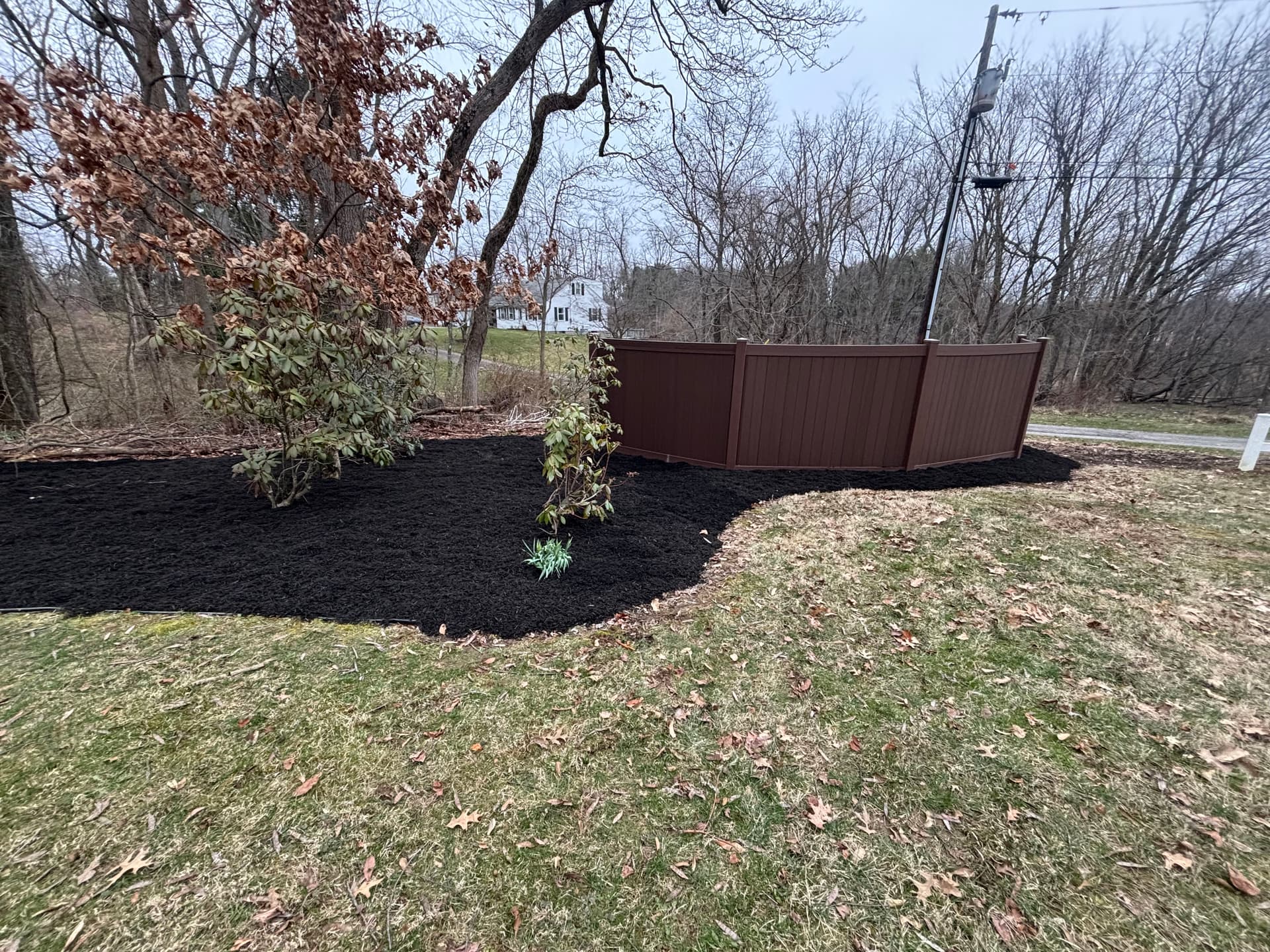 Fresh Black Mulch Install That Makes the Whole Yard Pop