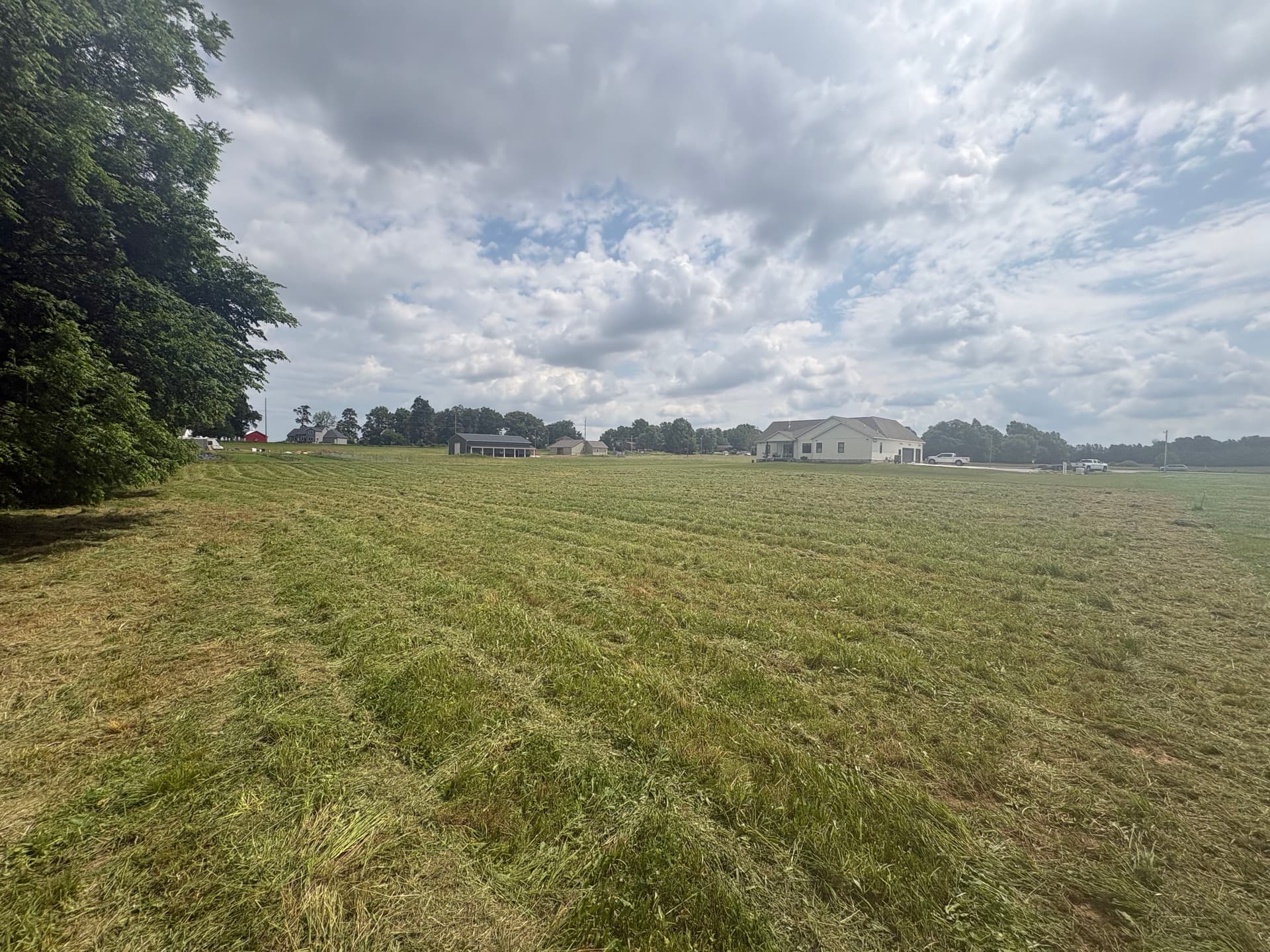 Gallery photos for Brush Hogging 3/4 Acre Back to Clean, Manageable Land: Image #1